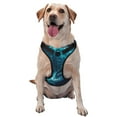 thumbnail image 1 of KLL Futuristic Jet Ski Adventure Pattern Dog Harness - Lightweight,Soft,Adjustable Small Harness and Leash Set-Medium, 1 of 6