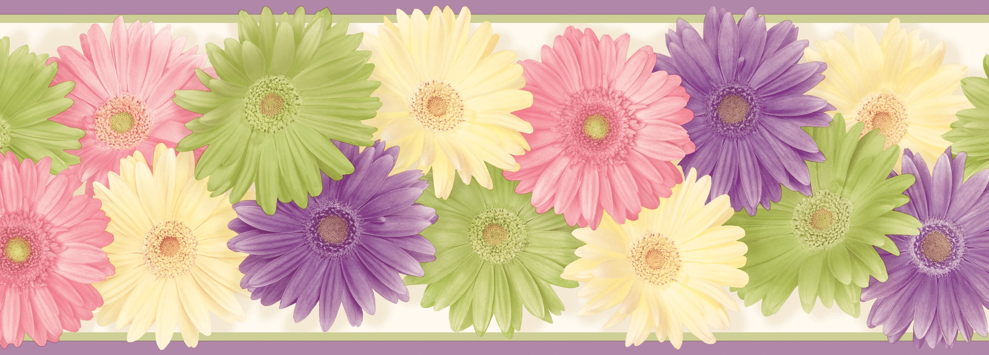 Chesapeake Lakh Purple Daisy Chain Border