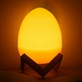 thumbnail image 6 of Sktrjpolfis 12Pcs Easter Lighted Egg Ornaments Plastic Light Up Eggs Home Holiday Decor, 6 of 6
