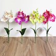 thumbnail image 2 of CAROOTU Simulation Flowers Fancy Four Butterfly Orchid Meaty Plant Bonsai Flower, 2 of 4