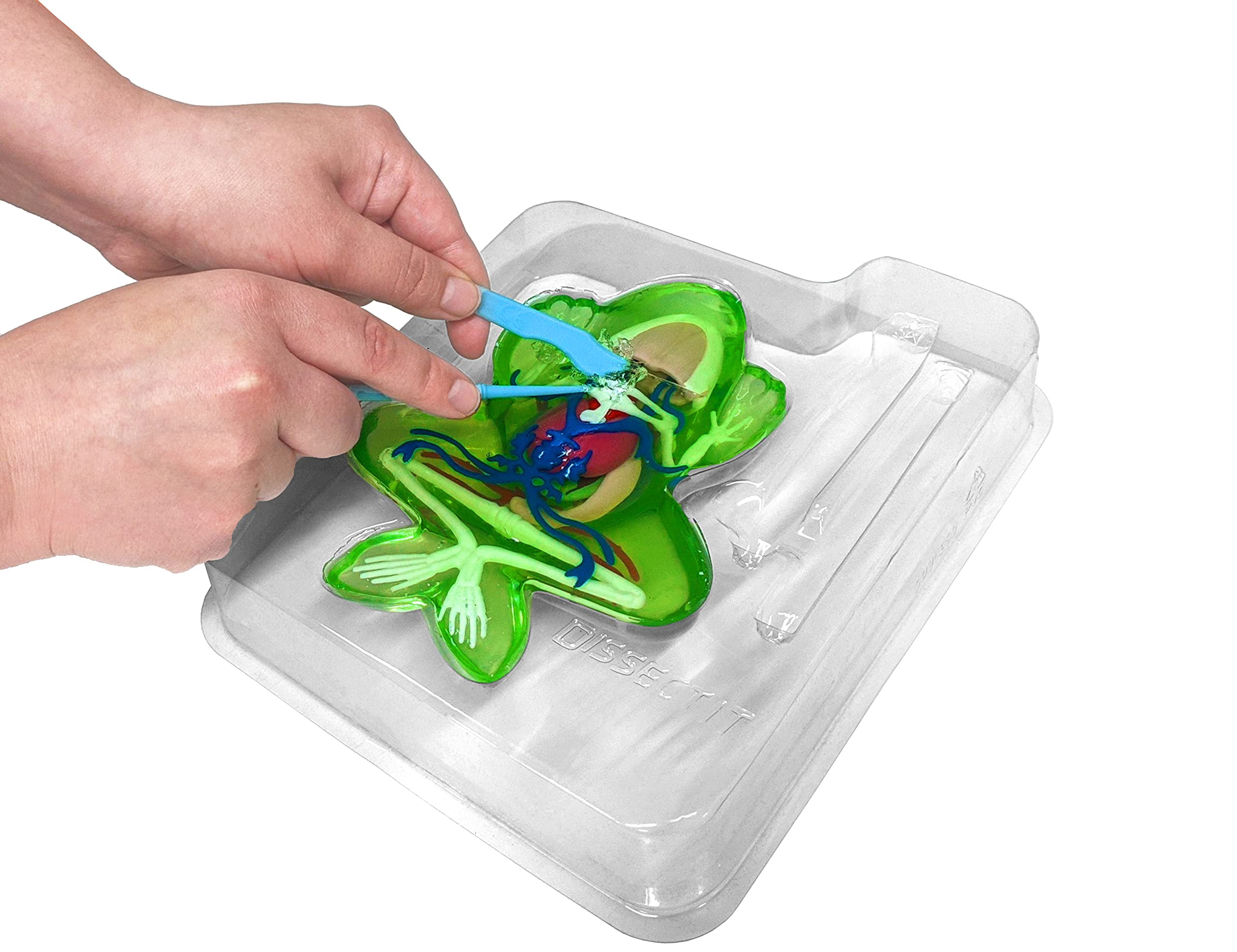 Dissect-It Simulated Synthetic Lab Dissection STEM Toy, Kids' Home Learning Science Project, Great for Young Scientists! - Frog Plus