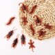 thumbnail image 1 of 50Pcs Halloween gadget Plastic Cockroaches Joke Decoration Props Rubber Toy Gags Practical Jokes Toys Plastic Bugs CockroachScorpion He Qiyong unisex, 1 of 1