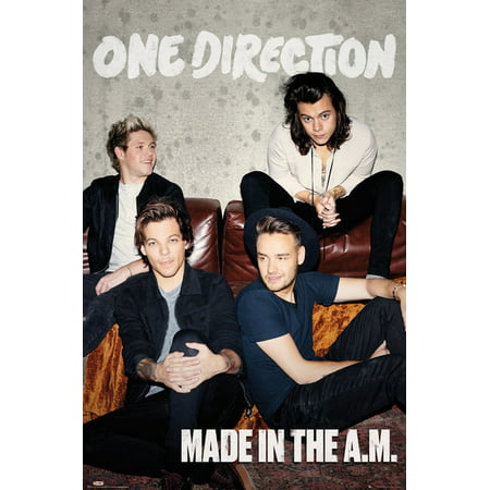 One Direction Made In The A.M (Global) Poster Print (24 x