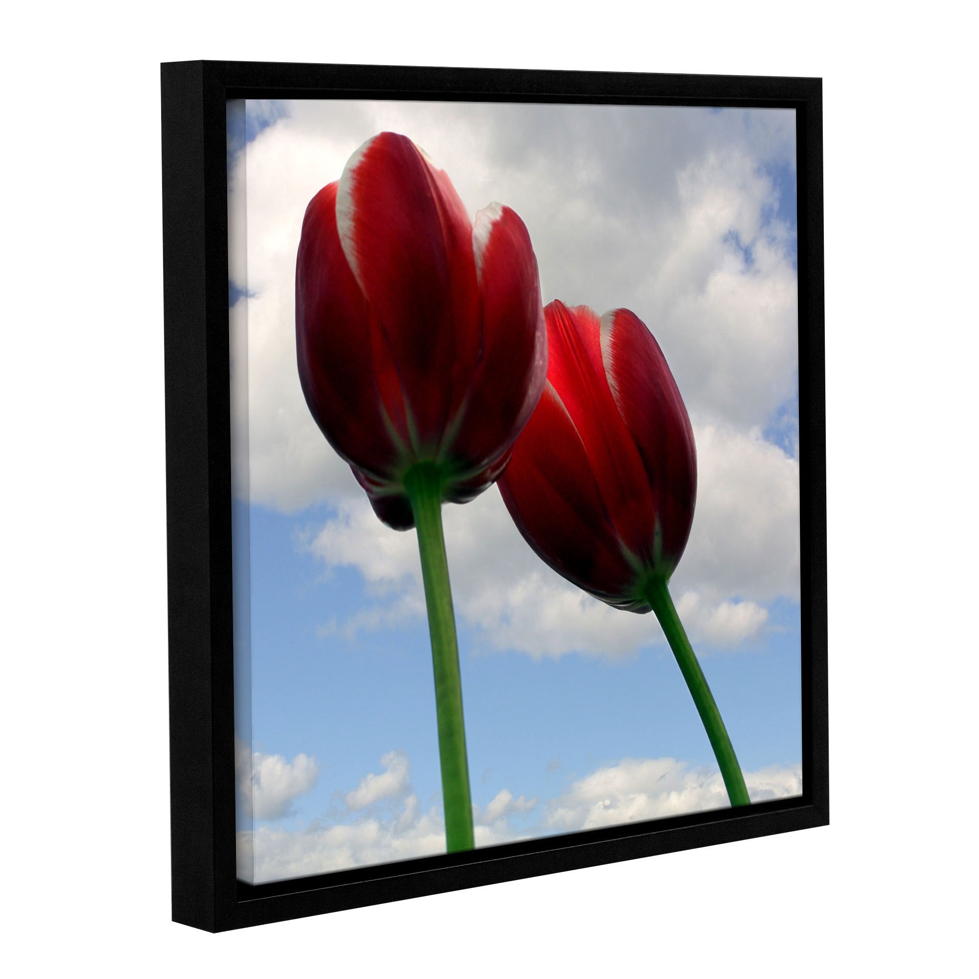 ArtWall Kevin Calkins "Two Red Tulips" Gallery-Wrapped Floater-Framed Canvas