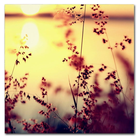 Trademark Fine Art "At the End of the Day" Canvas Art by Beata Czyzowska Young