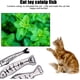 thumbnail image 3 of Juego de 3 juguetes para gatos: juguetes de pez con hierba gatera, juguete portátil, juguete colgante, juguete de hierba gatera, juguete de tela y juguete de pez., 3 of 5