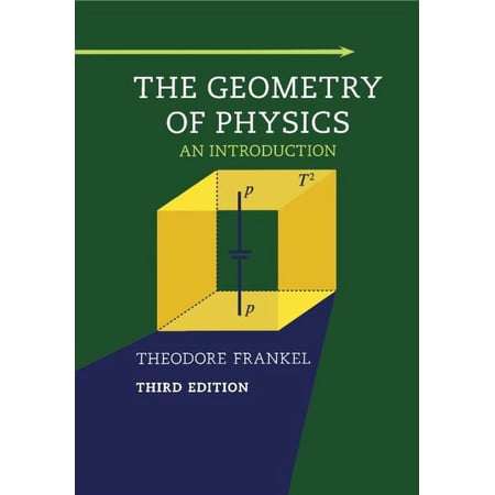 The Geometry of Physics (Paperback)