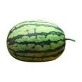 thumbnail image 2 of Qonioi Realistic Watermelon Pillow, Large Fruit Shaped Plush Doll for KidsPerformances Gifts, Pillow Doll Plush Toy, 2 of 5