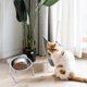 thumbnail image 3 of Raised Cat Food Bowls, 15 Degree Tilt Cat Bowl, NonSlip Cat Bowl, 3 of 5