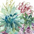 thumbnail image 2 of Tre Sorelle Studios 15x15 Gold Ornate Wood Framed with Double Matting Museum Art Print Titled - Succulent Garden Watercolor II, 2 of 4