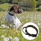 thumbnail image 5 of Collar de perro con camuflaje suave para , medianos, grandes perros de entrenamiento mascotas - Collar de perro, SG Colco Collar de cachorro, 5 of 8