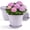 Purple, variant on FIASON 6 Pack 6 Inch Purple Plastic Plant Pots with Vine Embossed Design, Multiple Drainage Holes and Matching Saucers, Decorative Flower Planters for Indoor Outdoor Houseplants Succulents Herbs