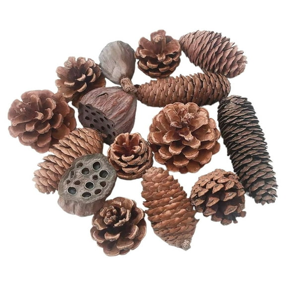 MUSEYA 1 Set Christmas Pine Cone Decor with DIY Dry Lotus Seedpod Random Style