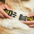 thumbnail image 2 of Nickelodeon Pet Collar, Dog Collar Plastic Buckle, Spongebob Patrick Starfish Poses Pineapple Gold, 8.5 to 12 Inches 0.5 Inch Wide, 2 of 6