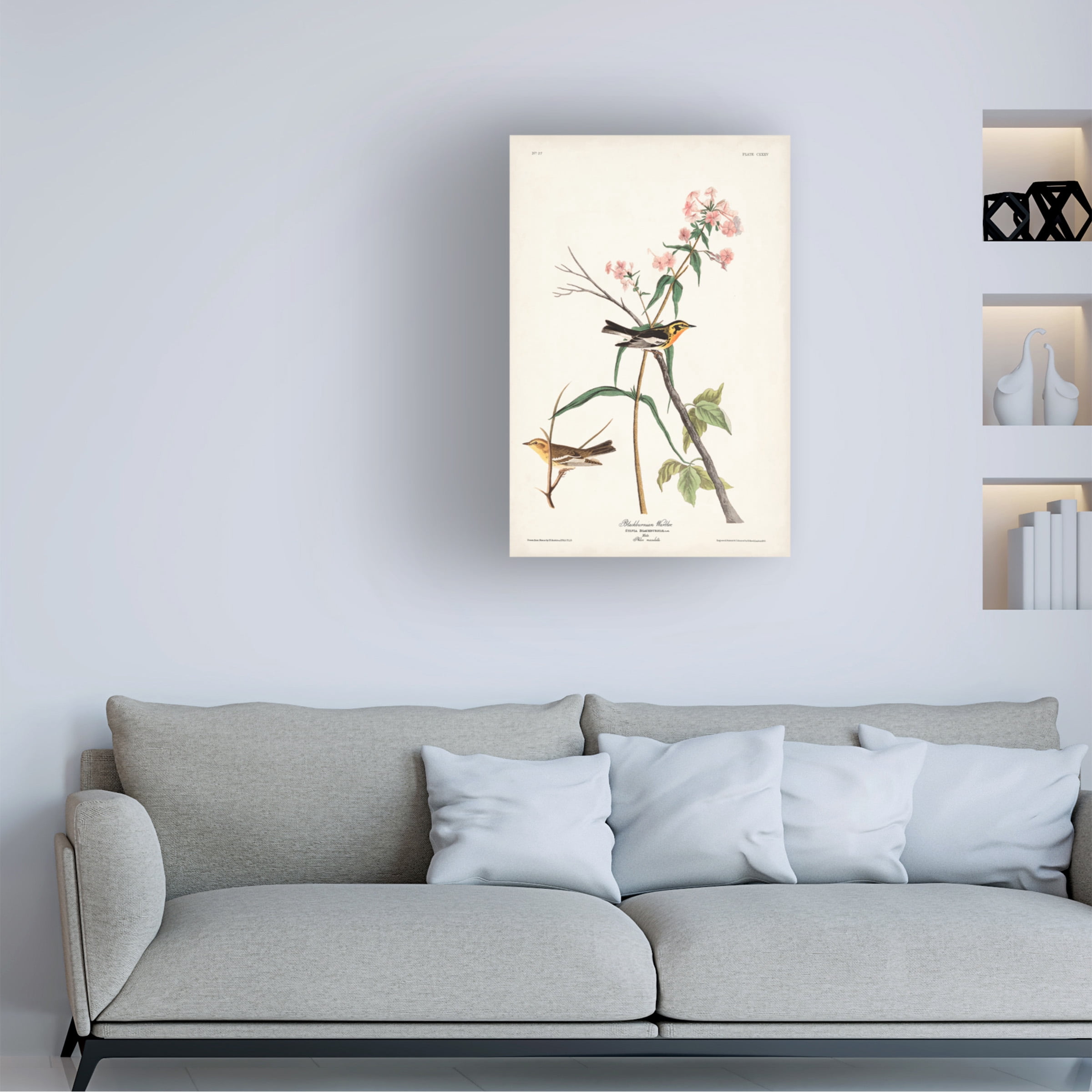 John James Audubon 'Blackburnian Warbler' Canvas Art