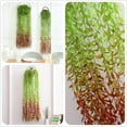 thumbnail image 3 of ZOELNIC Artificial Hanging Vines, 6 Pack Fake Ivy Weeping Willow Greenery Leaves Plastic Plants Faux Garland Vine UV Resistant for Indoor Outdoor Garden Door Wall Baskets Wedding Party Decoration, 3 of 8