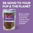 thumbnail image 3 of Scout & Zoe's: Super Fly Black Soldier - Larvae - 3oz Treats, All Pets, Reptile-Amphibian-Dog-Cat-Bird, Single Ingredient, Whole Dried Novel Protein, 3 of 7