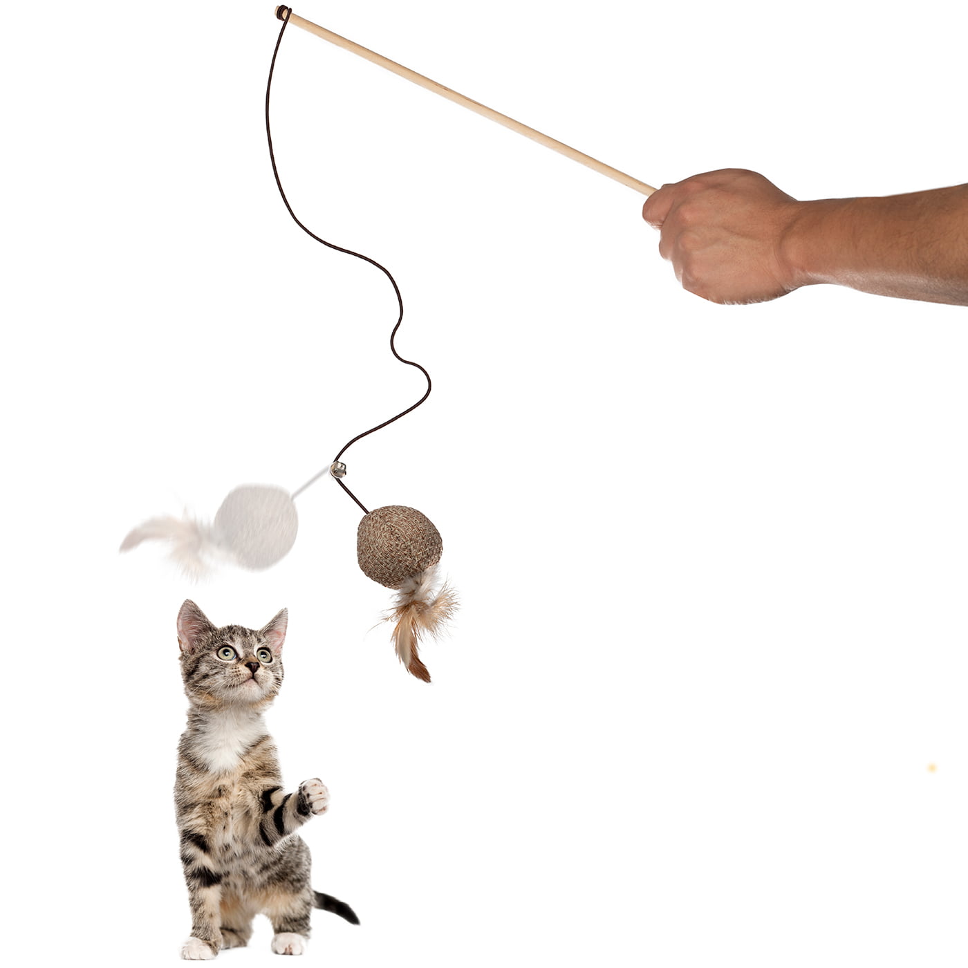 cat string toy