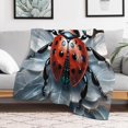 thumbnail image 2 of Super Soft Blanket Soft Microfiber Blanket Cosy Fluffy Fuzzy Travel Blanket Nap, 2 of 8