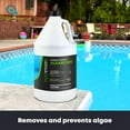 thumbnail image 2 of Copper Pool Algaecide for Swimming Pools - 64 oz - 90 Day Algaecide for Inground & Above Ground Pools, Helps Prevent & Remove Green, Mustard, Blue, Black Algae - AquaDoc, 2 of 8