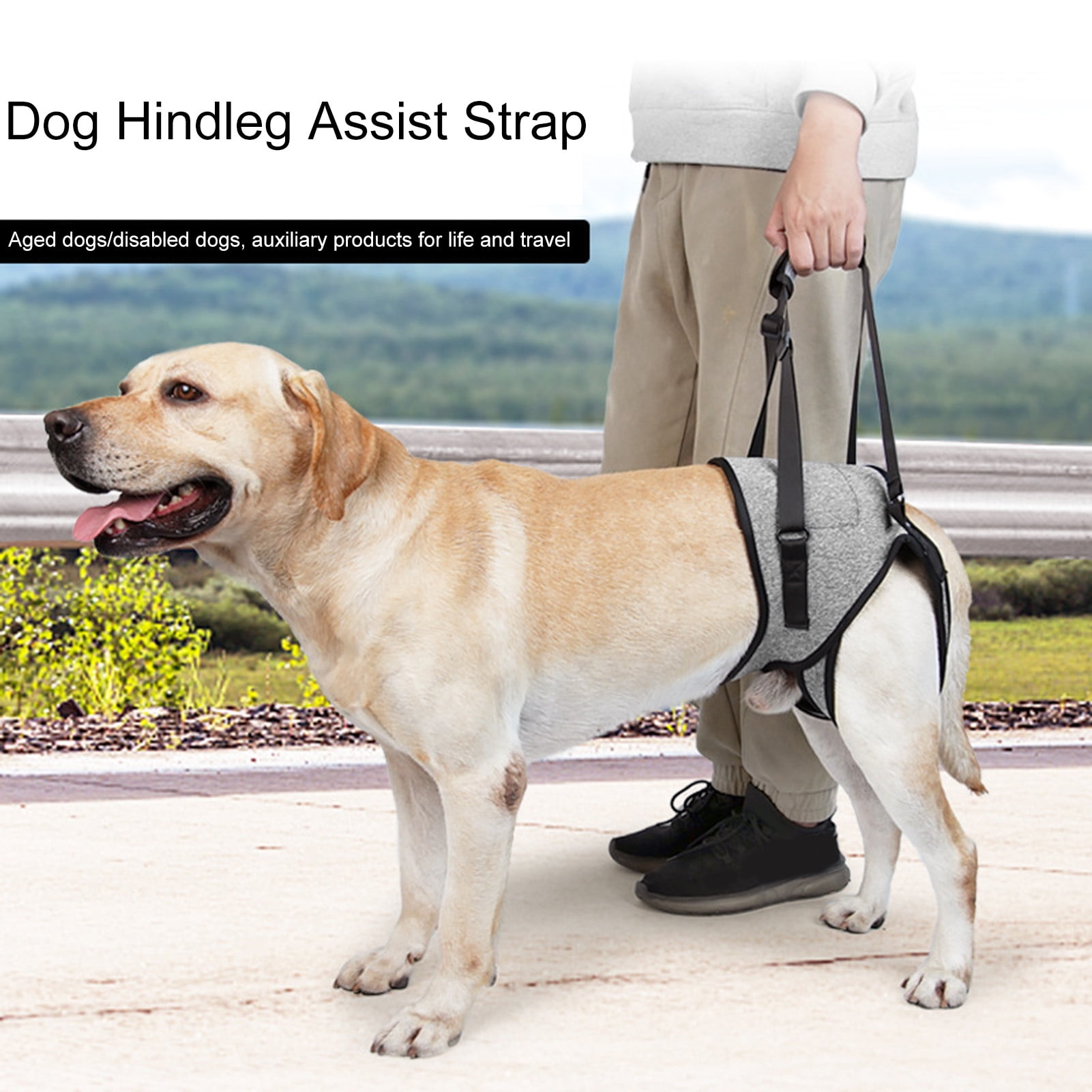 Hesroicy Supportive Dog Lifting Sling with Detachable Handle and