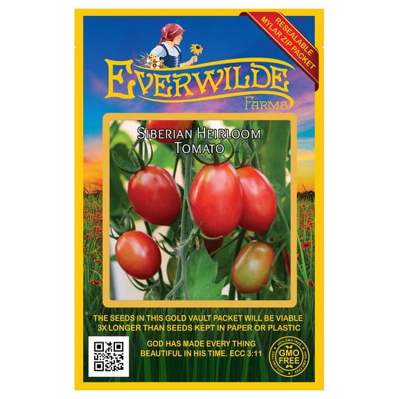 Everwilde Farms - 50 Siberian Heirloom Tomato Seeds - Gold Vault Seed Packet