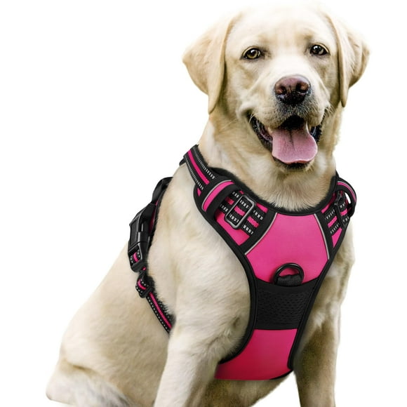 rabbitgoo Harnais pour Chien, Harnais pour Animaux Sans Traction avec 2 Pinces à Laisse, Gilet Rembourré Doux Réglable, Gilet Oxford Réfléchissant Sans Étranglement avec Poignée de Contrôle Facile pour Grands Chiens, Rose Vif, G