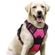 thumbnail image 1 of Arnés para perros Rabbitgoo, ajustable, sin tirones, rosa intenso, para perros grandes, 1 of 8