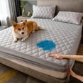 thumbnail image 2 of Waterproof Mattress Pad for Pets, Kids - Twin, 38 in x 75 in, Light Gray, 2 of 10