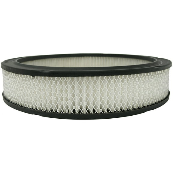 ACDelco A329CF Air Filter Fits select: 1969-1978 CHEVROLET CAMARO, 1969-1972 CHEVROLET C10
