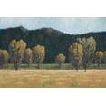 thumbnail image 2 of Macnab, John 32x23 Gold Ornate Wood Framed with Double Matting Museum Art Print Titled - Cottonwood Country II, 2 of 4