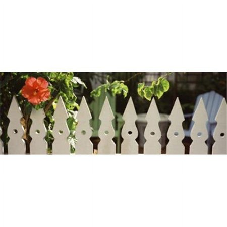 Panoramic Images White picket fence and red hibiscus flower along Whitehead Street Key West Monroe County Florida USA Poster Print by Panoramic Images - 36 x 12