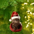thumbnail image 4 of Personalized Christmas Cat Ornaments, 2D Flat Shatterproof Cat Christmas Hangings Decoration, Cute Christmas Tree Cats Hanging Decorations for Indoor Home/Party/Mantel/Car (B), 4 of 7