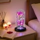 thumbnail image 1 of CaiYueKe LED Rose Night Light with Butterflies Glass Dome Preserved Flower Romantic Gift for Women Valentine's Day Birthday Christmas Home Decor, 1 of 8