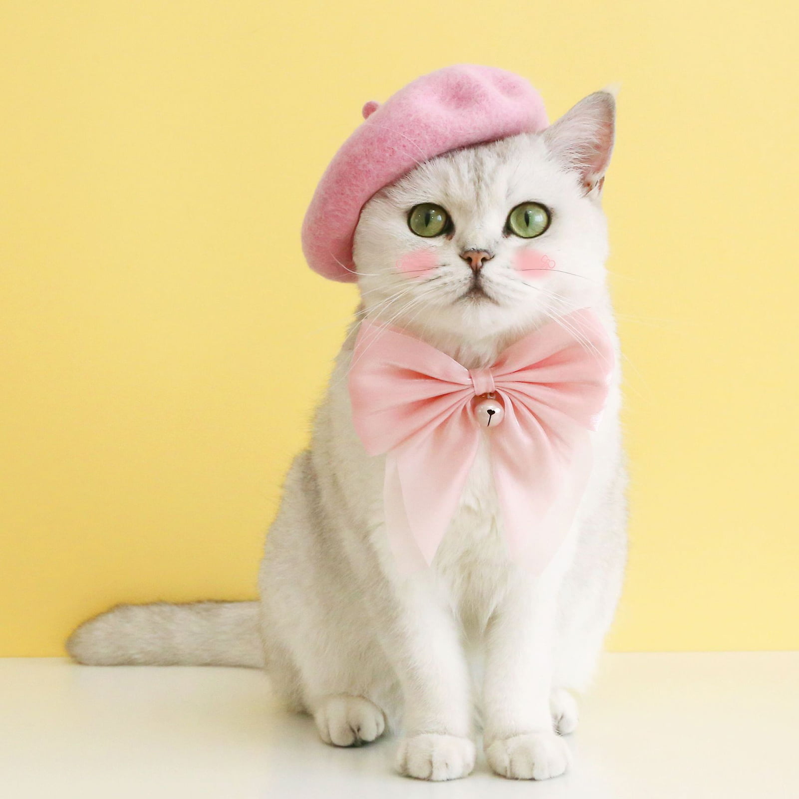 cute kitty cat with bow tie baby girl hat baseball cap 2-5 years caps -  Only Cat Shirts