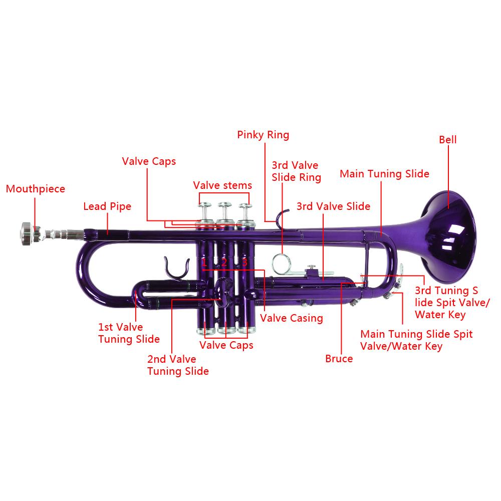 SamyoHome Bb Beginner School Band Trumpet with Mouthpiece Case, Purple