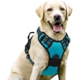 thumbnail image 1 of rabbitgoo Dog Harness  No-Pull Pet Harness with 2 Leash Clips  Adjustable Soft Padded Dog Vest  Reflective No-Choke Pet Oxford Vest with Easy Control Handle for Large Dogs Orange L, 1 of 9