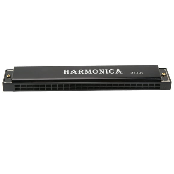 Harmónica de 24 Agujeros, Armónica para Principiantes Instrumentos Musicales de Viento Elegante y Fácil de Usar Con Caja de Almacenamiento para El Entretenimiento Diario