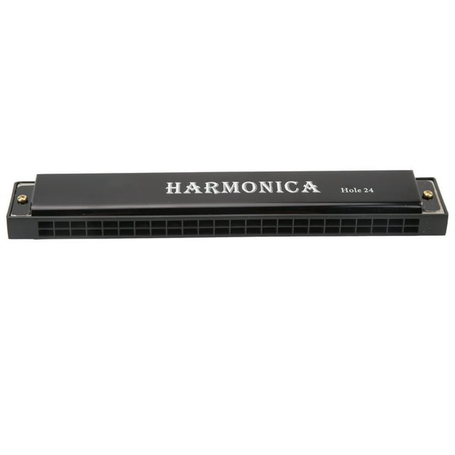 Harmónica de 24 Agujeros, Armónica para Principiantes Instrumentos Musicales de Viento Elegante y Fácil de Usar Con Caja de Almacenamiento para El Entretenimiento Diario