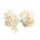 thumbnail image 2 of 380-450 pistilos de flores artificiales de doble cabeza para ramos de boda crema, 2 of 9