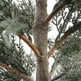 thumbnail image 4 of 4' Cedar Tree, 4 of 5