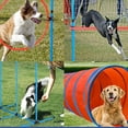 thumbnail image 3 of Dog Agility Exercise Set  Portable Dog Agility Training Equipment with Pause Box and 2 Balls  Durable Pet Outdoor Games with Agility Weave Poles and Jumping Ring for Dog Agility Course  M, 3 of 4
