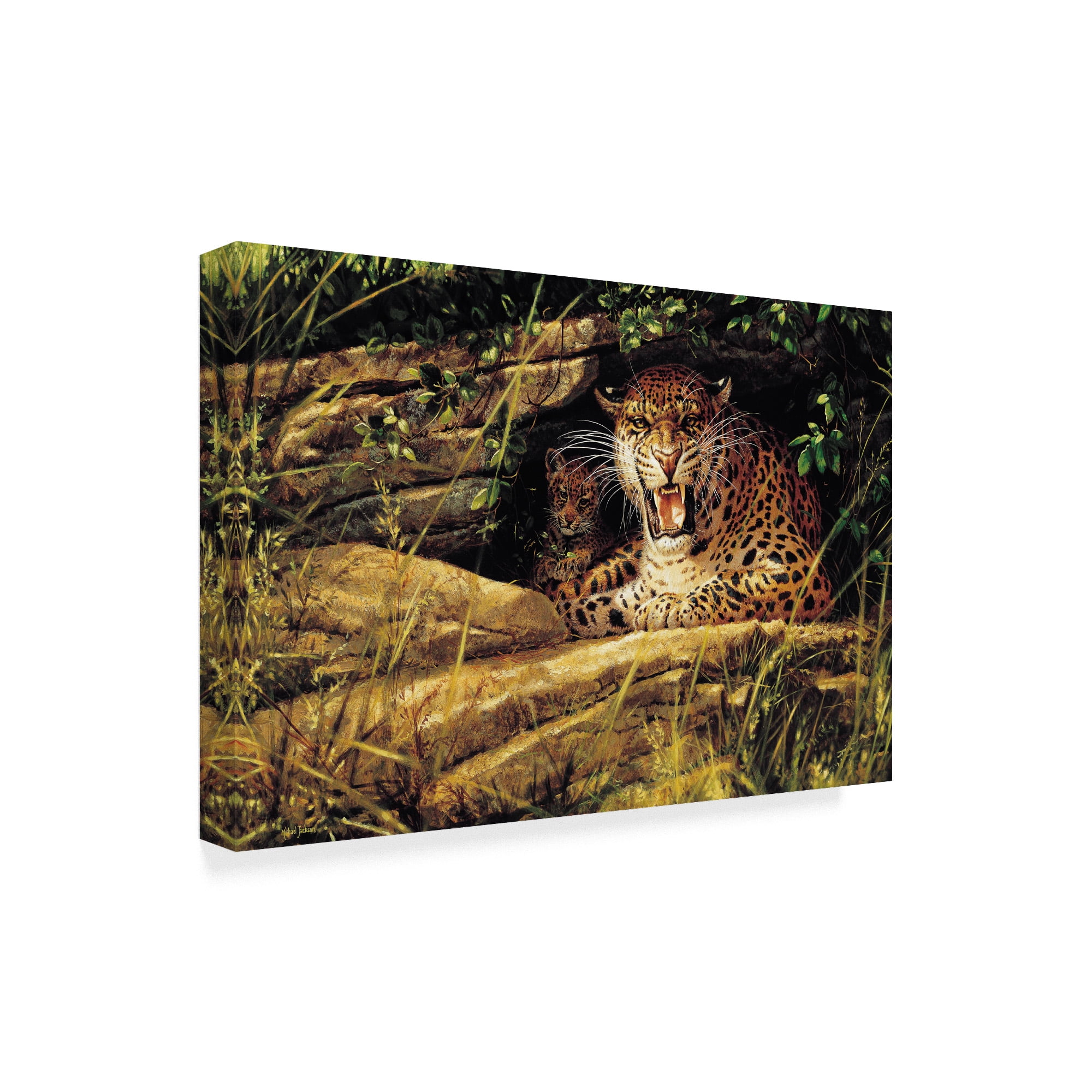 Trademark Fine Art 'Angry Leopard' Canvas Art by Michael Jackson