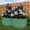 green, variant on 2-Pack Galvanized Metal Raised Garden Beds, 48x48x12in Durable Outdoor Planter Boxes with Open Base for Deep Root Growth, Rust-Resistant for Vegetables, Herbs & Flowers, Ideal for Patio, Lawn&Garden