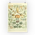 thumbnail image 2 of Vegetables, A, Vintage Bookplate, Adolphe Millot Artwork (12x18 Wall Art Poster, Room Decor), 2 of 3