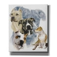 thumbnail image 1 of Epic Graffiti 'American Staffordshire Terrier' by Barbara Keith, Canvas Wall Art, 20"x24", 1 of 8