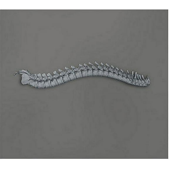 Kill Memory Crash - When the Blood Turns Black - Music & Performance - CD