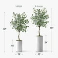 thumbnail image 4 of Artificial Tree in White Marble Effect Planter, Fake Eucalyptus Silk Tree for Indoor and Outdoor Home Decoration - 57" Overall Tall (Plant Pot Plus Tree), 4 of 5
