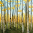 thumbnail image 3 of Milan, Vittorio 20x20 Black Modern Framed Museum Art Print Titled - Birch Woods II, 3 of 5