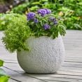 thumbnail image 2 of Better Homes and Gardens 13 inch Resin Moon Planter Luna Planter - Durable Weather-Resistant Pot, 2 of 5